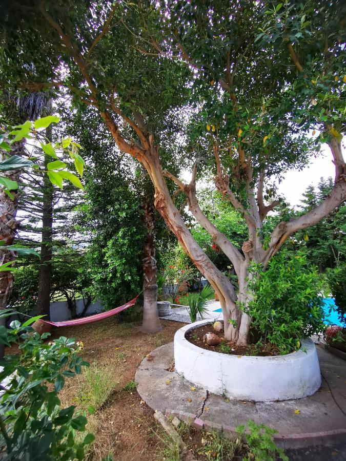 Irene Holiday home